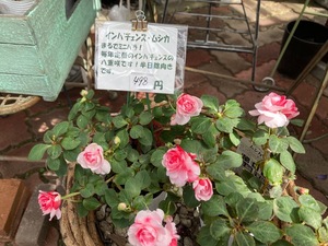 0A123D1D-77CA-4612-9071-07D7953A1A0A.jpeg