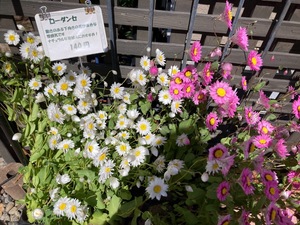 1C345A9C-DED5-4AA5-9AE5-9D98E0CCF59D.jpeg