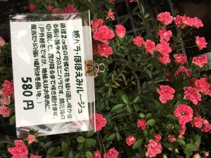 2E8B072E-69A7-47B0-8325-2F726C537985.jpeg