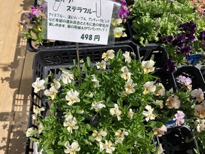 3EB1ED81-6BE3-49AD-80EF-736ED451C996.jpeg