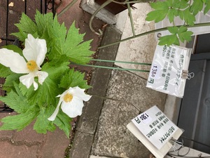 45A7E046-5BAB-4CB7-A5A8-38DA87D7B761.jpeg