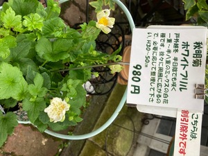 657607F9-D75E-45EC-9BE6-50E94CCCC57A.jpeg
