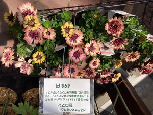 6F594556-6459-4DB4-A409-CA53DCE69CFF.jpeg