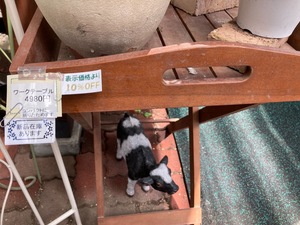 74396AA1-574B-492B-A2A8-86005EE39620.jpeg