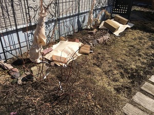 74716328-BD13-4B0D-B66C-BA86CC25405A.jpeg