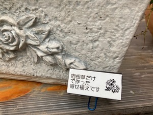 77D9BE80-B68C-4476-B4DE-51D5CE56E84B.jpeg