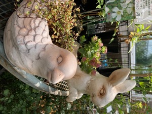7E9F7075-CB51-4F98-AEBB-0D1E0BE54B16.jpeg