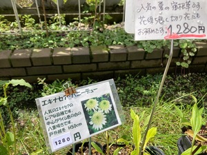 8982F53D-78B7-4554-A7FF-33A2B9ECDDB8.jpeg