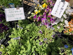 927D530D-C4A9-44A4-B27F-3ACD6D8CFDA6.jpeg