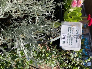 BEFD8910-7C09-4B99-9AAF-70D757A208DC.jpeg