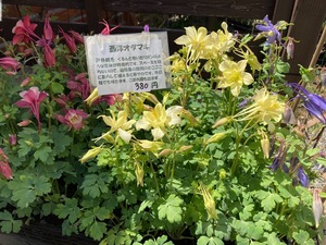 C075997C-E1A2-4F2F-B8FE-737ECD6FC4A0.jpeg