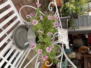 C2273402-8C37-4142-AB47-04B9AED263ED.jpeg