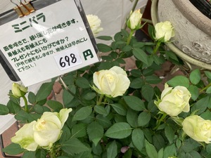 C9F4E8A4-E95B-42FB-8CBE-CD30A5778D30.jpeg