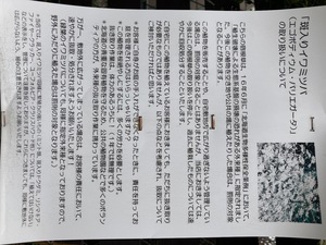 CD99AA84-9A19-4E57-B61E-24F40A14D50B.jpeg