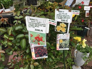 CE88117A-74DD-4A6F-AD87-FD87897B1754.jpeg