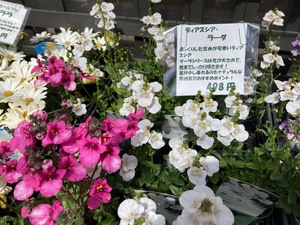 D46FC8BA-0E67-424A-BA32-737C3CE79E7B.jpeg