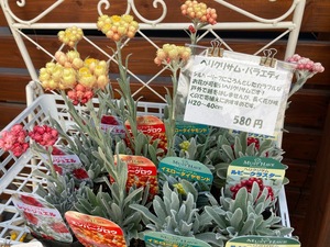 D69A3E90-0FB5-4060-A589-77E02F70FFAF.jpeg