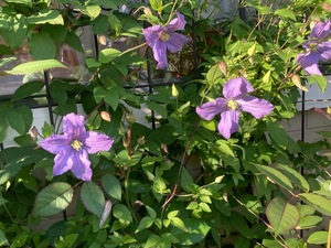DA74102E-7B67-42DB-AF56-B7FC2E689B68.jpeg