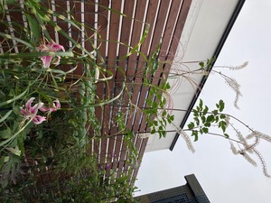 DB51783E-D87B-4F05-85DD-23BBFDAC6FC3.jpeg