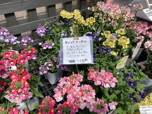 E1986BD3-1B2B-40DB-8670-066B3B1F6F98.jpeg