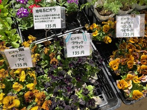 E97D05C6-A1FA-4863-9E1D-1A1C6795234F.jpeg