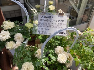 F415E43F-D3E1-45BD-8FEA-206892628379.jpeg