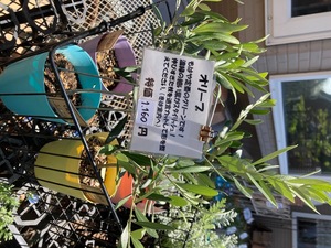 FF565E3D-107B-4BC0-B4C5-914BDC0F582E.jpeg