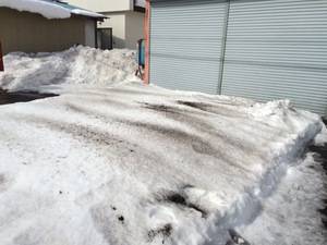 image-6f00c.jpg