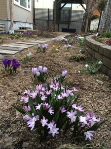 image-f8f48.jpg